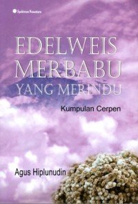 Image of Edelweis Merbabu Yang Merindu