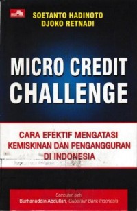 Image of Micro Credit Challenge
