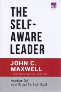 Image of THE Self Aware Leader