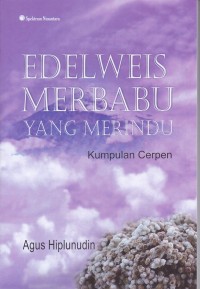 Image of Edelweis Merbabu Yang Merindu
